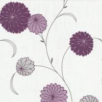 купить P+S International Novara 2 13466-40