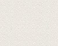 купить A.S.Creation Schoner Wohnen 10 35955-1