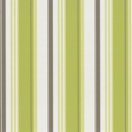 купить P+S International Delight 03883-40