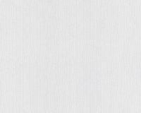 купить A.S.Creation Meistervlies Pro 2 246219