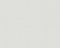 купить A.S.Creation Maistervlies 2020 10381-9