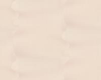 купить A.S.Creation Tracy 3485-24