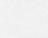 купить A.S.Creation Meistervlies 4 1412-17