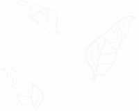 купить A.S.Creation Zanzibar 889744