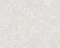 купить A.S.Creation Meistervlies 4 1675-14 / 1452-15