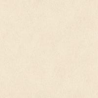 купить Rasch African Queen 2014 422627