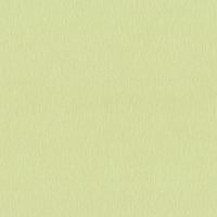 купить P+S International Dieter Bohlen - Trend Edition 13472-60