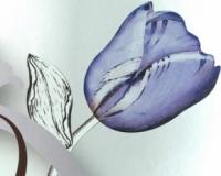 купить Marburg Ulf Moritz Charisma 78783