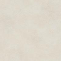 купить Rasch Metal Spirit 2016 588316