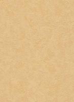 купить Erismann City Colours 6986-03