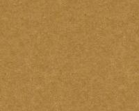 купить A.S.Creation Versace Wallpaper 2 96218-6