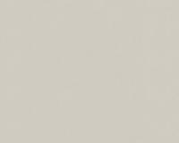 купить A.S.Creation Simply Decor 3365-76