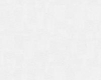 купить A.S.Creation Maistervlies 2020 30641-8