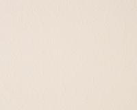 купить A.S.Creation Simply White 251619