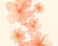 купить A.S.Creation X-Ray 34272-4