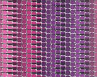 купить A.S.Creation Mac Stopa 32727-3