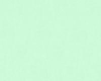 купить A.S.Creation Little Stars 35834-1