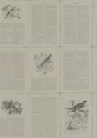 купить Rasch Lazy Sunday 2 401622