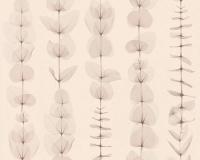 купить A.S.Creation X-Ray 34246-1