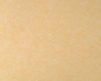 купить A.S.Creation Styleguide Natuerlich 936141