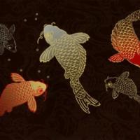 купить Marburg Colour Life 45227