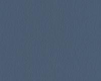 купить A.S.Creation Schoner Wohnen 5 944948