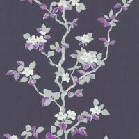 купить P+S International Orpheo 2014 13088-60