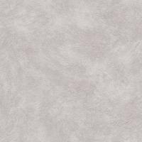 купить Rasch Metal Spirit 2016 588354