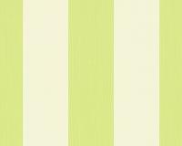 купить A.S.Creation Meistervlies 5 30378-4