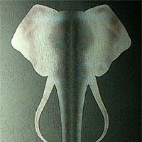 купить Marburg Colani Tsavo 72950