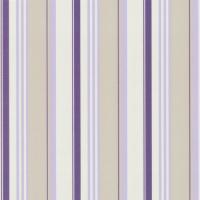 купить P+S International Delight 03883-70