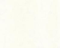 купить A.S.Creation Used Look 224040