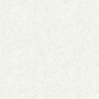 купить P+S International Easy Wall 13388-10