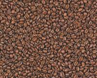 купить A.S.Creation Decora Natur 4 664617