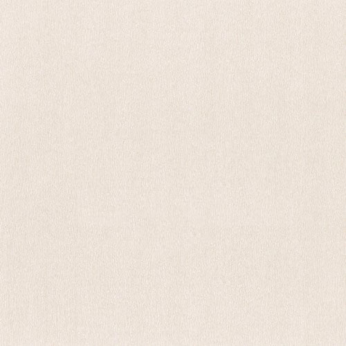 купить P+S International Tresor 42042-50