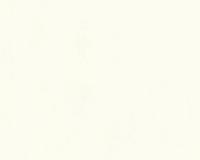 купить A.S.Creation Daniel Hechter 215918