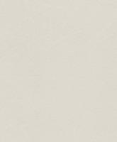 купить Rasch Shiny Chic 403640