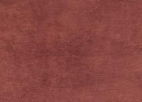 купить BN International Curious 17927