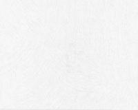 купить A.S.Creation White & Colours 191144