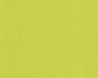 купить A.S.Creation Swing Line 934723