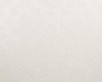 купить A.S.Creation Haute Couture 2 266712