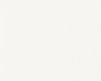 купить A.S.Creation Esprit 14 36527-2