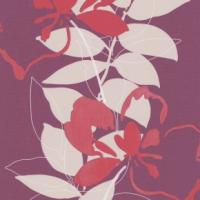 купить Marburg Zu Hause Wohnen 2 53027