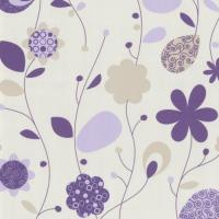 купить P+S International Delight 03884-70