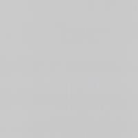 купить P+S International Tresor 42037-40