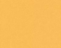 купить A.S.Creation MV meets XXL 715616