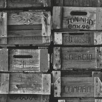 купить P+S International Times 42108-20