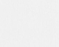 купить A.S.Creation Maistervlies 2020 96341-3