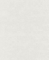 купить Rasch Wallton 2021 119404 (119411)