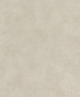 купить Rasch Pop Skin 494778